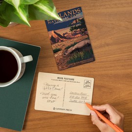 Badlands National Park, South Dakota, Ferret at Night (4x6 Birch Wood Postcards, 2-Pack Stationary, Rustic Home Wall Decor)