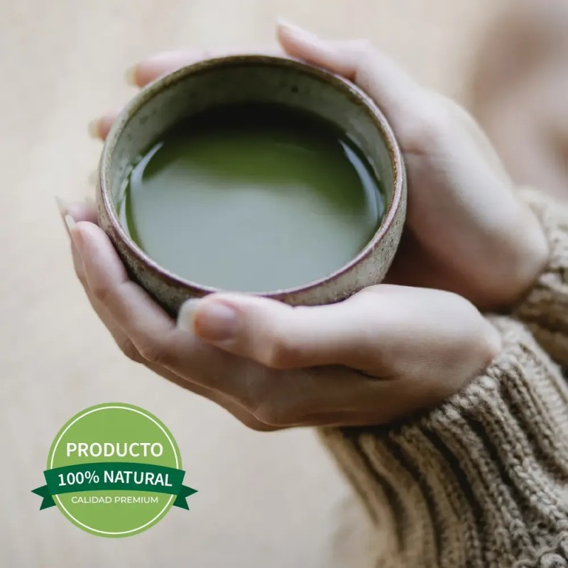 Té Matcha 100% Puro Premium Orgánico 250 Gramos