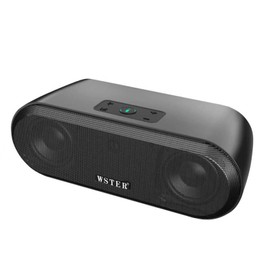 WSTER WS-820 Bluetooth Replica Speaker – Wireless Portable Home Audio Speakers with HD Sound, 40W Output, TWS Pairing, FM, USB/TF Playback, Built-in Microphone, Gifts for Home/Party (Black)