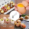 Boiled Egg Cutter Topper Egg Top Remover, 1Pc Egg Cutter