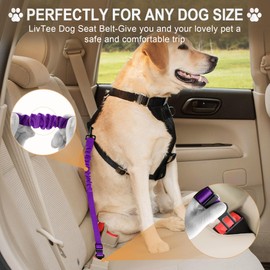 LivTee Dog Seat Belt for Car,1 Packs Set Retractable Dog Car Harness Adjustable and Comfortable Dog Car Seatbelt Leash,Elastic Nylon Pet Safety Seatbelts for Vehicles,Dog Accessories for Car(Purple)