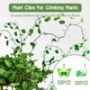 Revylink 50Pcs Snail Plant Clips for Vines Butterfly Wall Plant