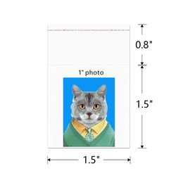 500pcs Small Cellophane Bags 1.5" x 1.5" Clear Adhesive Cello Bags Tiny Plastic Poly Bag 1Mil for Jewelry Earrings Cookie Candy Bakery Beads Coins Gifts Decorative (9 Sizes to Choose from)