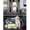 Joyzy Wireless Under Cabinet Lights - Closet & Pantry Motion