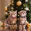 PTDECOR Christmas Cat Collars with Bow Bell, 2 Pack Kitten