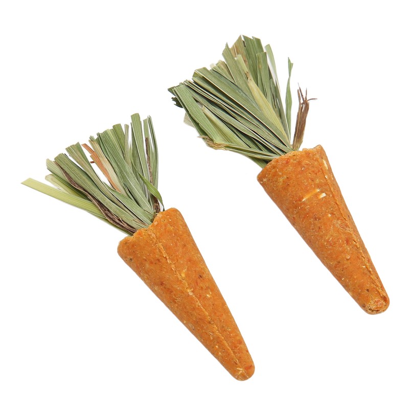 20pcs Carrot Shaped Hamster Toy Teeth Grinding Decorative Crude Fiber