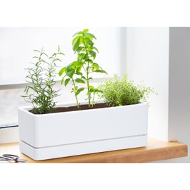 D'vine Dev 12 Inch Window Box Planter, Rectangle Plastic Herb Planter with Drainage Holes and Saucer, Indoor Succulent Cactus Vegetable Pot for Windowsill, Garden Balcony, White, Set of 1, 76-X-A-1