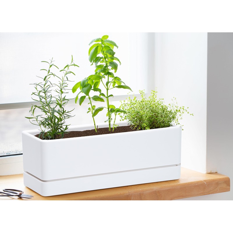 D'vine Dev 12 Inch Window Box Planter, Rectangle Plastic Herb