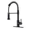 Faucet for Kitchen Sink, Black Kitchen Faucet with Pull Down