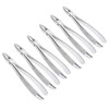 OdontoMed2011® Set Of 6 Dental Extracting Forceps #MD1 Dental Extraction
