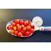 20+ Worlds Smallest Spoon Currant Tomato Seeds, Early, Heirloom Non-GMO,