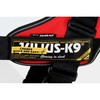 Julius-K9 16IDC POWERHARNESS USA Flag (USA Flag, Mini)
