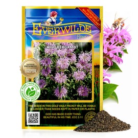 Everwilde Wild Bergamot Seeds 1/4 lb – Native Perennial Wildflower – Attracts Bees, Butterflies & Hummingbirds – Drought Tolerant & Deer Resistant – Pollinator Gardens – Bulk Gold Vault Packet