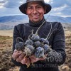 Suplemento Maca Negra Orgánica Premium 100 Cápsulas 500mg