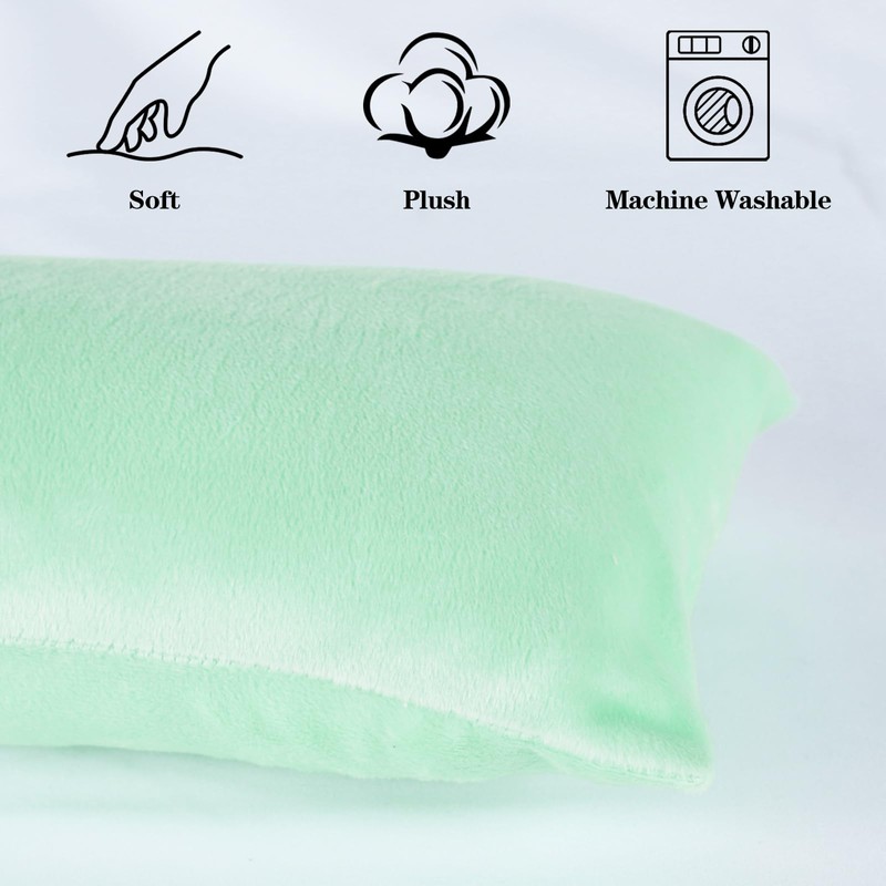 Winmany Small Pillow 11" x 7" Mini Pillow with Removable