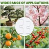 Pack of 30 Branch Separators for Fruit Trees, 8/10 cm