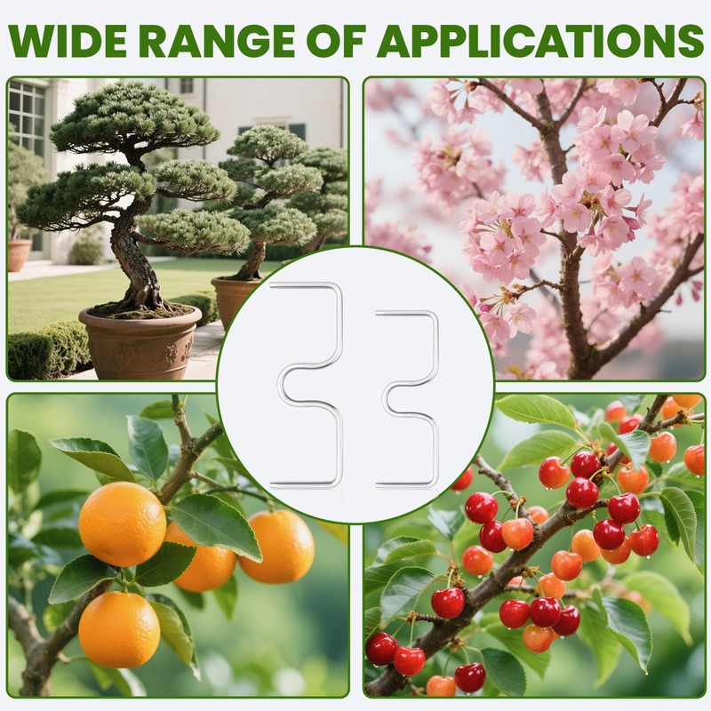 Pack of 30 Branch Separators for Fruit Trees, 8/10 cm
