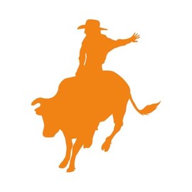 Cowboy Rodeo Bull Rider V8 11 inch Orange Indoor Outdoor Vinyl Decal
