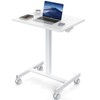 DUMOS Small Standing Desk Mobile Portable Rolling Laptop Desk on