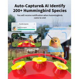 Hummingbird Feeder with Camera Solar Powered W/32G Card, AI Identify Bird Species, Ant Moat/Bee Proof, Hummingbird Cam Watching Live Video, Instant Notifications, Ideal Present for Bird Lovers