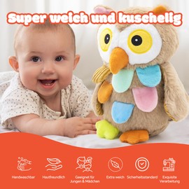 RBSFL Owl Plush Toy, Soft Owl Cuddly Toy, Owl Stuffed Toy for Cuddling, Owl Plush Gift for Children, Family, Friends (23 cm - Colourful Owl)