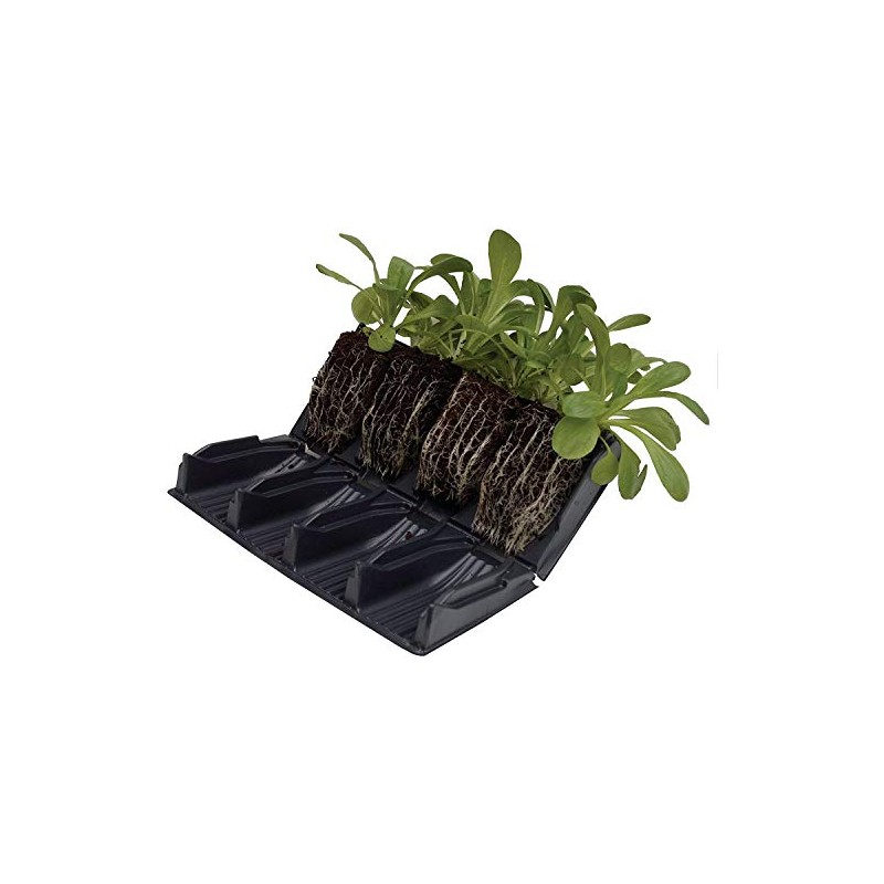 RAPID ROOTRAINERS x 1