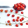 20+ Worlds Smallest Spoon Currant Tomato Seeds, Early, Heirloom Non-GMO,