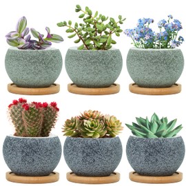 Thriving Thicket 3 inch Ceramic pots for Plants, Small Succulent Pots Set with Drainage, 6 Pack Flower Pot for Indoor Plant, Planters for Little or Mini Cactus (3 Black & 3 Dark Green)