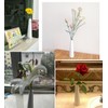 Ericotry 22CM / 8.7Inch Height Glass Flower Vase Desktop Minimalist
