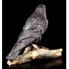 Birsppy FVLFIL Black Raven Figurine with Key - The Raven