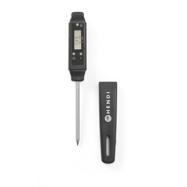 Pocket thermometer with probe
