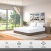 LYMA Bedding Fitted Sheet Single, Deep Pocket 35CM, OEKO-TEX Certified,