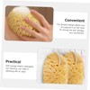 Set de 4 Esponjas Exfoliantes y Lufa para Ducha HAPINARY