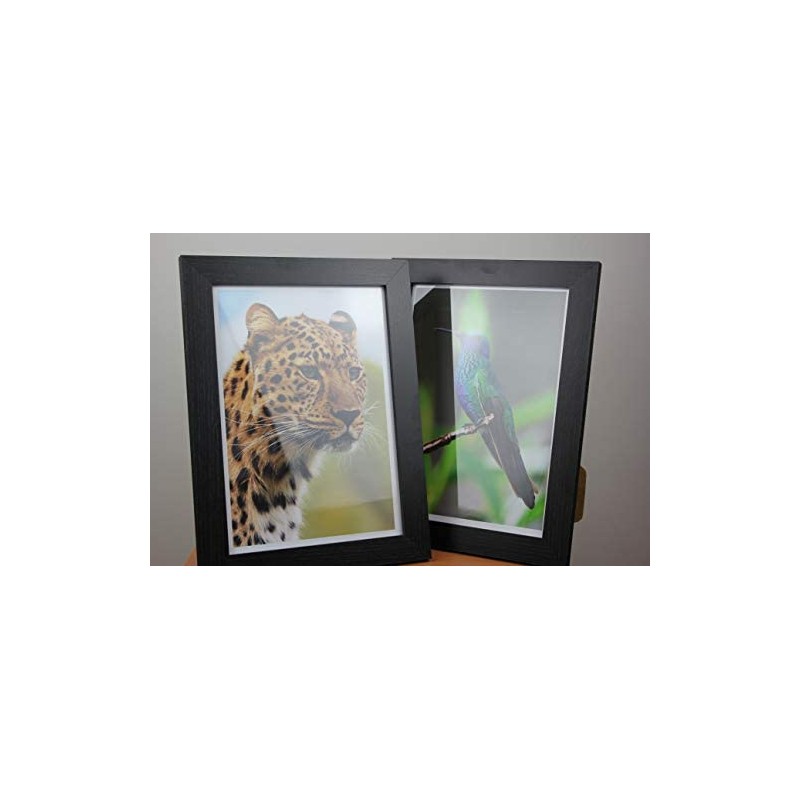 PPD 50 Sheets A4 Inkjet Satin Premium Plus Archival Photo