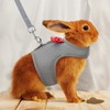Rabbit Harness and Leash Set,Bunny Leash for Walking Escape Proof,Bunny