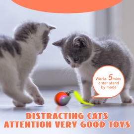 Interactive Cat Toys for Indoor Cats - Moving Cat Ball with Tail - Automatic Cat/Kitten Toys for Bored Indoor Adult Cats - Motion Activated - Can Play On Any Floor (Orange)