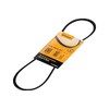CONTITECH 4PK830 ELAST V-Ribbed Belt