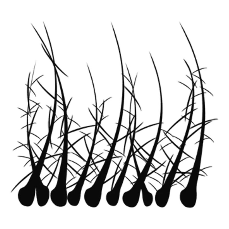 Volosy + Bomba Fibras De Cabello Que Disimulan Calvicie 28g