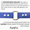 Regal Dog Products Waterproof Heavy Duty Dog Collar and Leash