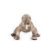 Wildlife Tree 12 Inch Stuffed Komodo Dragon Plush - Floppy
