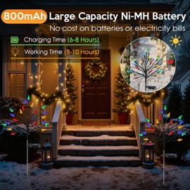 Solar Christmas Lights Outdoor Waterproof, Solar Powered Xmas Stake Lights Decorations with 20 Colored Strawberries and 2 Modes for Outside, Pathway, Yard, Walkway, Lawn, Grave, Holiday Decor(2 Pack)