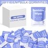 300 Pieces Bulk Feminine Wipes Individually Wrapped,Purple