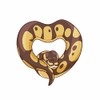 Ball Python Heart Snake Decal -Indoor and Outdoor use! (Standard)