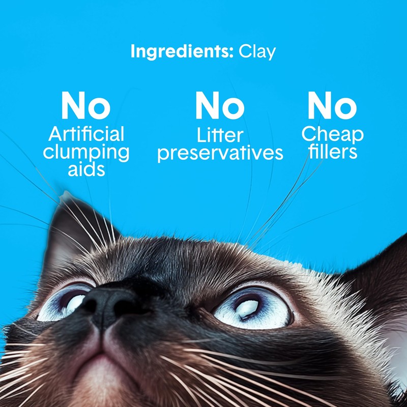 Boxie Unscented 30 Day Odor Control Clumping Clay Cat &