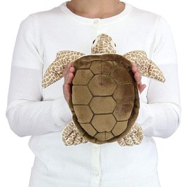 Carolata Cowrie Turtle Plush Animal, Size M, 13.8 x 3.9 x 11.8 inches (35 x 10 x 30 cm), Realistic Toy, For Kids, Present, Sea Creatures