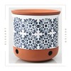 Okavango Ceramic Garlic Keeper - garlic keepers - garlic storage