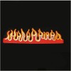 Wixine 5Pcs Embroidery Flames Fire Sew On Iron On Patch