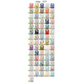 Littles & Bloomz, Reusable Pocket Cloth Nappy, Fastener: Hook-Loop, Set of 1, Pattern 54, with 1 Bamboo Charcoal Insert