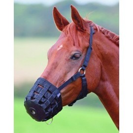 William Hunter Equestrian Hy Muzzle - pony - black