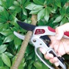 Ratchet type pruning-shears SGP-22R